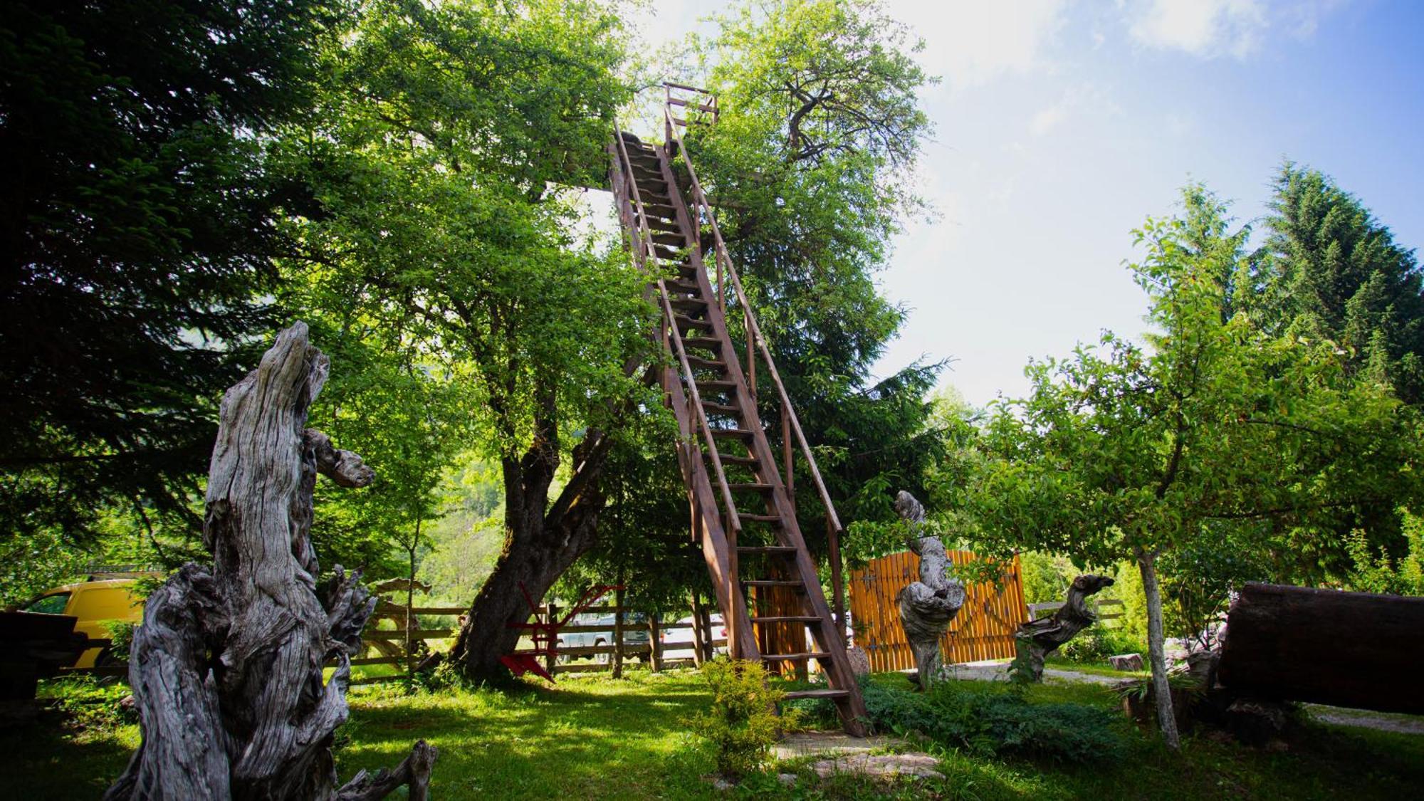 Ethno Village Stitarica Mojkovac Buitenkant foto