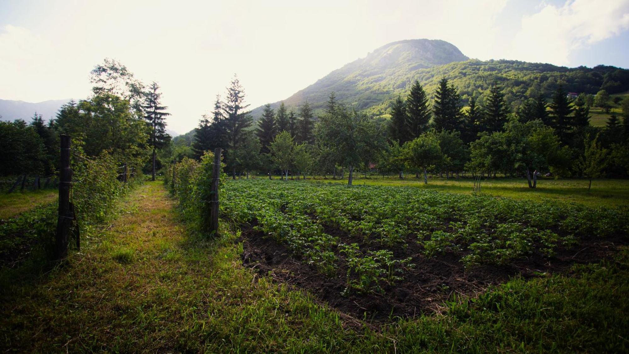 Ethno Village Stitarica Mojkovac Buitenkant foto