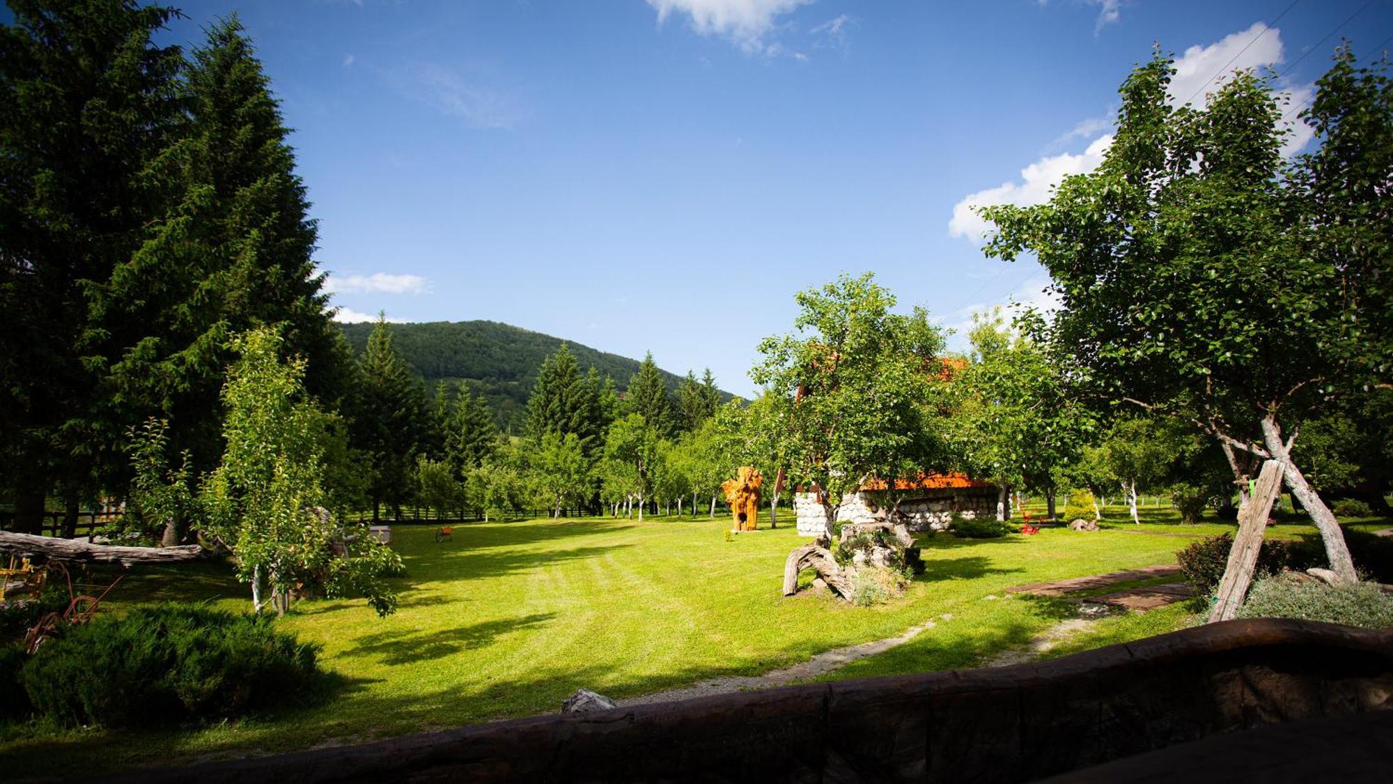 Ethno Village Stitarica Mojkovac Buitenkant foto