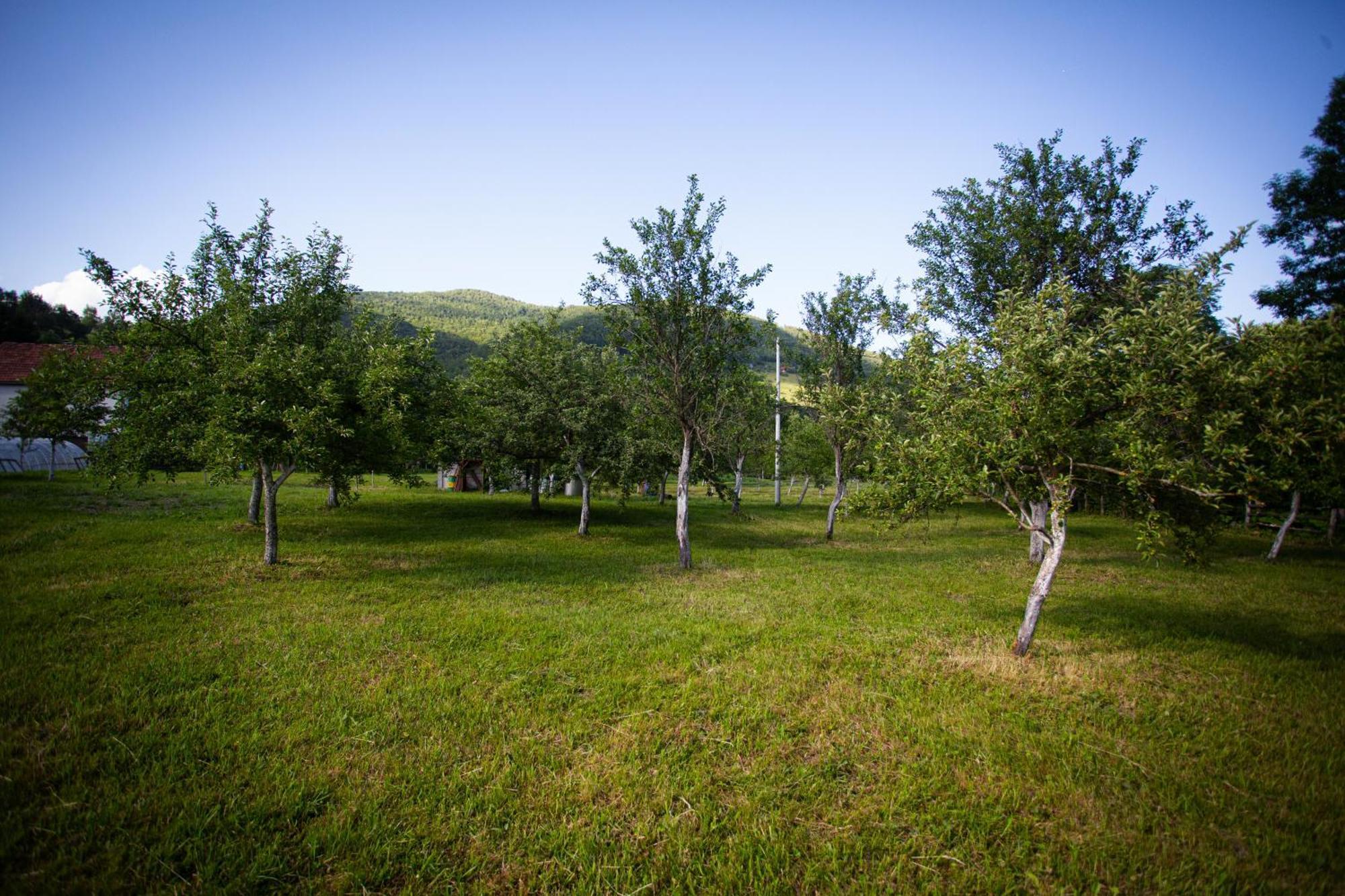 Ethno Village Stitarica Mojkovac Buitenkant foto